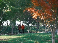 图集 | 枝江冬日限定美景 氛围感拉满