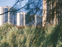 图集 | 枝江冬日限定美景 氛围感拉满