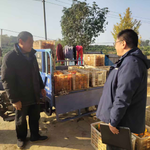 雷迎春：扎根基层办实事 一心为民谋发展