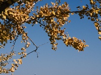 图集 | 枝江冬日限定美景 氛围感拉满