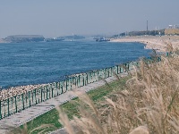 图集 | 枝江冬日限定美景 氛围感拉满