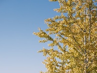 图集 | 枝江冬日限定美景 氛围感拉满