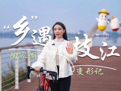 “乡”遇枝江，看看陶家湖的这些年！