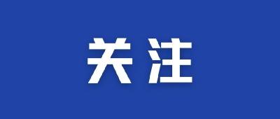 鄂EX6778、鄂EX7520……枝江这些司机被点名！