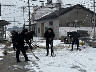 闻雪而动保畅通，干群同心暖杨山