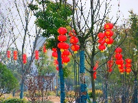 图集 | 解锁枝江街头的 “新年限定皮肤”！🏮