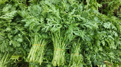 每天超8000吨！枝江35万亩“菜篮子”满格供应春节市场