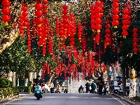 图集 | 解锁枝江街头的 “新年限定皮肤”！🏮