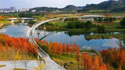 “家底”公布！宜昌竟有这么多“宝贝”