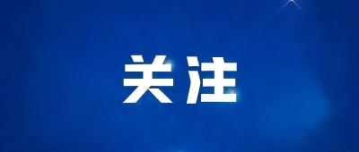 全市安全生产工作视频调度会召开
