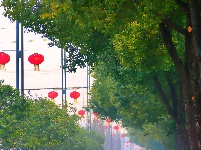 图集 | 解锁枝江街头的 “新年限定皮肤”！🏮