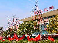 图集 | 解锁枝江街头的 “新年限定皮肤”！🏮