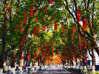 图集 | 解锁枝江街头的 “新年限定皮肤”！🏮