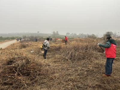 横店村:集中清理散坟杂草 筑牢森林防火防线