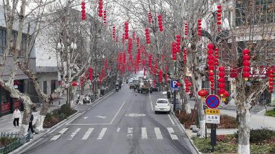 灯笼满街巷 景美年味浓 枝江解锁新春新颜