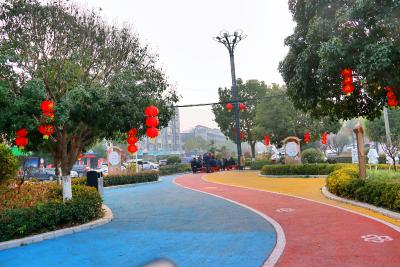 董市镇：扎实开展春节氛围营造 红红火火迎新年