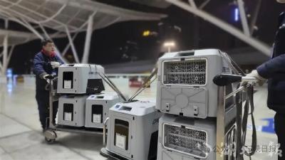 宜昌东站，有新变化！