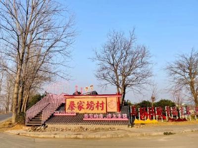 大变化！枝江这个村“上新”了