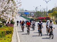 图集 | 2026中国公路自行车公开赛（湖北枝江站）开赛——风驰枝江·逐梦滨江