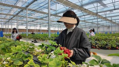 三月果香溢满乡 枝江向巷村采摘游升温