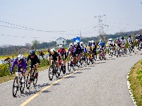 图集 | 2026中国公路自行车公开赛（湖北枝江站）开赛——风驰枝江·逐梦滨江