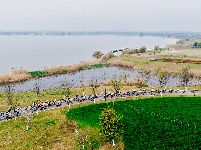 图集 | 2026中国公路自行车公开赛（湖北枝江站）开赛——风驰枝江·逐梦滨江