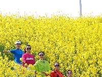 图集 | 看枝江街头，一场粉白金黄的春日花事