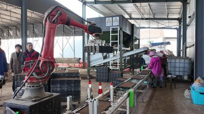 科技赋能育秧忙 枝江田间播新绿