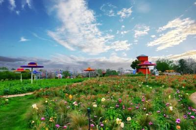 凭“楚超”门票，来枝江有惊喜→