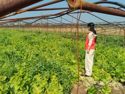 禁种铲毒护净土 巡查宣传筑防线