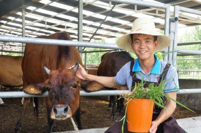 从“门外汉”到“专业放牛娃”：一位贵州青年的牛郎山十年