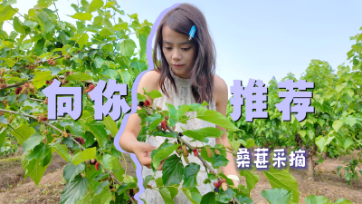 ​【向你推荐】这个五一不必远行，来枝江赴一场桑葚之约，尝一口初夏的甜~