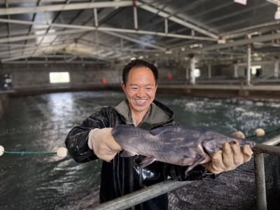 枝江康益水产以绿色养殖赋能产业升级