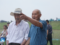 图集 | 历史性时刻！枝江长江大桥顺利合龙