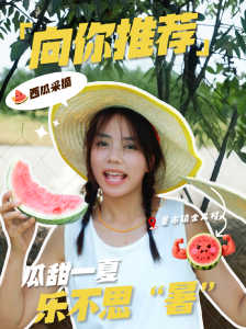 【向你推荐】今天芒种，走，摘西瓜去！
