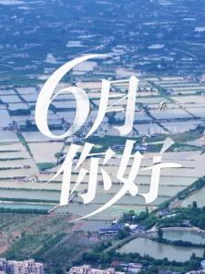 ​6月你好
