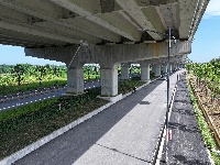 图集 |当枝松高速公路枝江段建设正酣