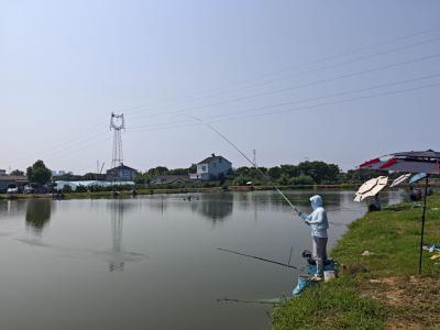 重整焕新颜 老家休闲垂钓中心恢复营业