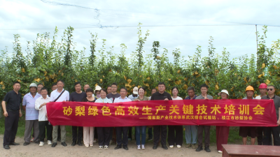 枝江市开展砂梨绿色高效生产关键技术培训