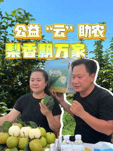 公益“云”助农，梨香飘万家！枝江第三届百里洲砂梨溯源直播正式启幕 