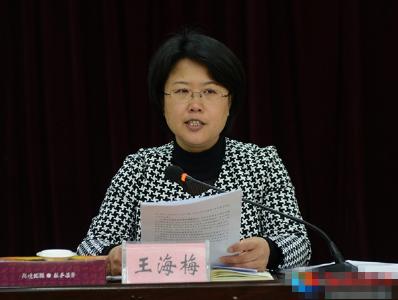 全县落实惩防体系建设主体责任推进会召开