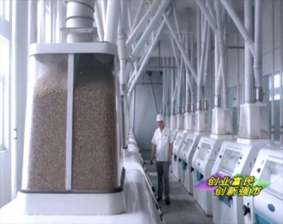 三杰粮油组建优质小麦产业联盟 做精做强枣阳支柱产业