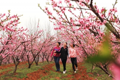 枣阳精品旅游线路