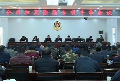 我市召开扫黑除恶专项斗争会议