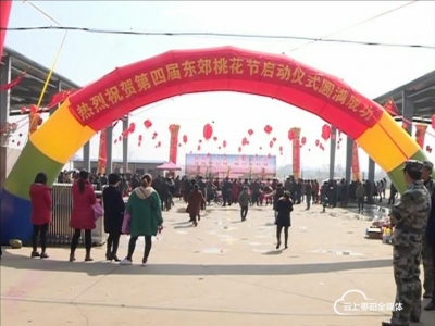 环城办事处东郊村第四届桃花节开幕