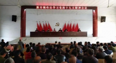 V视I新市镇深入学习贯彻十九大精神  奋力推进新市绿色发展