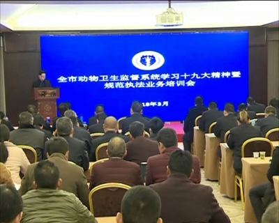 市动物卫生监督系统学习十九大精神