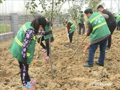 市建设局组织干部职工在工业园区开展义务植树活动