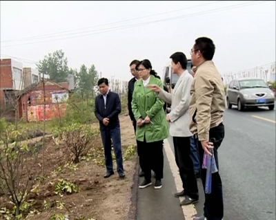襄阳市副市长丁亚琳来我市调研山林长制工作情况