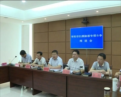 我市召开扫黑除恶专项斗争推进会